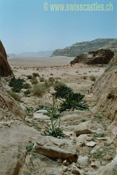 Wadi Rum