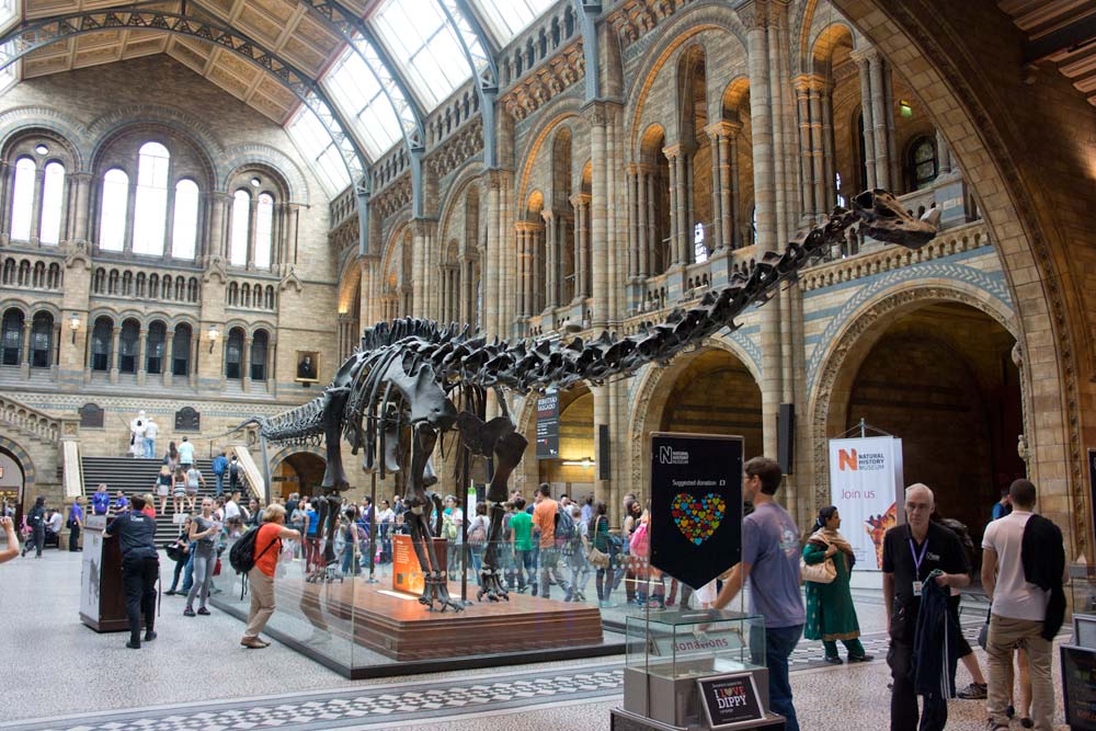 London, Londres, Musee histoire naturelle