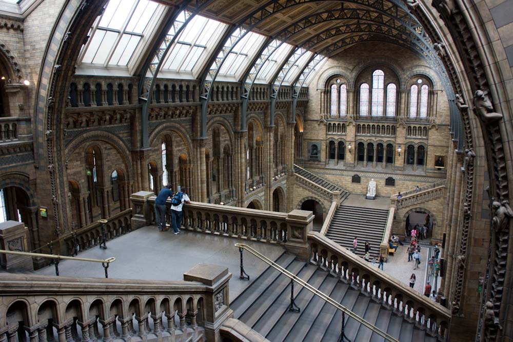 London, Londres, Musee histoire naturelle