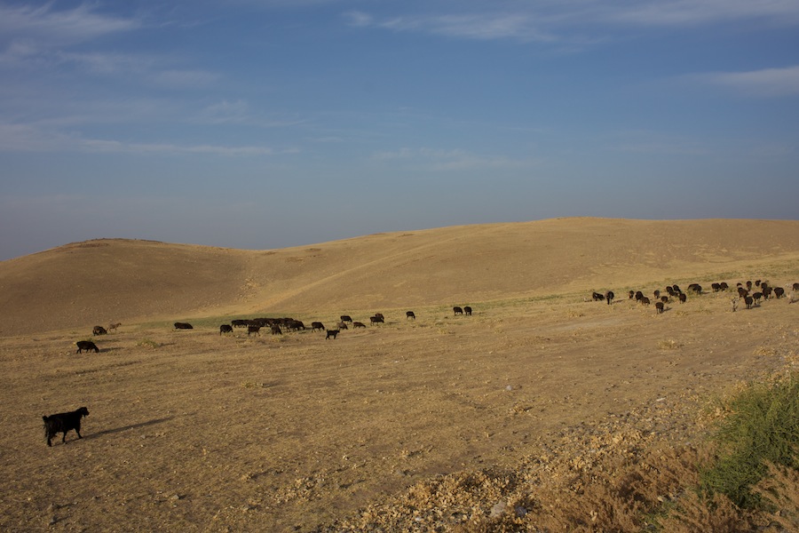 Ouzbekistan 