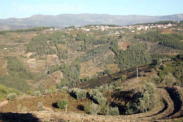 Vallée du Douro