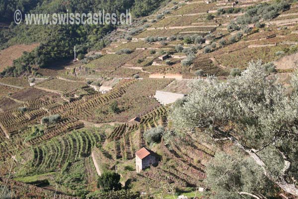 Vallée du Douro