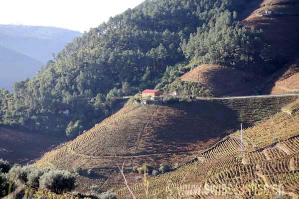 Vallée du Douro