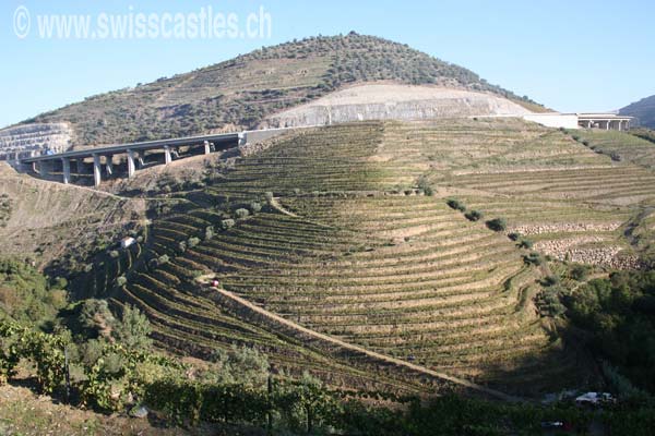 Vallée du Douro