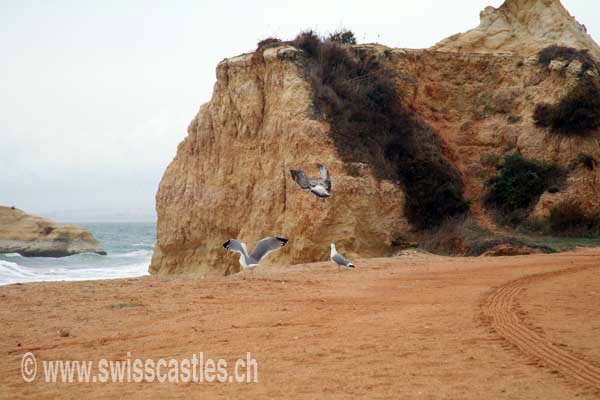 Portimao, plage de la Rocha