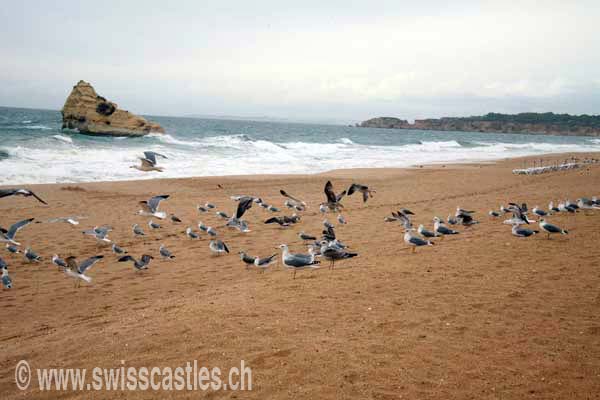 Portimao, plage de la Rocha