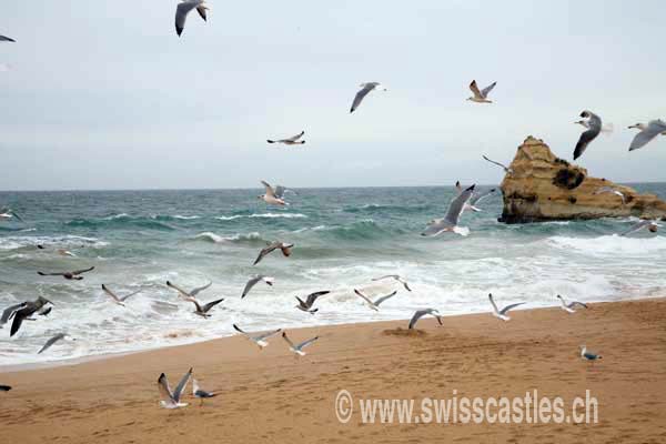 Portimao, plage de la Rocha