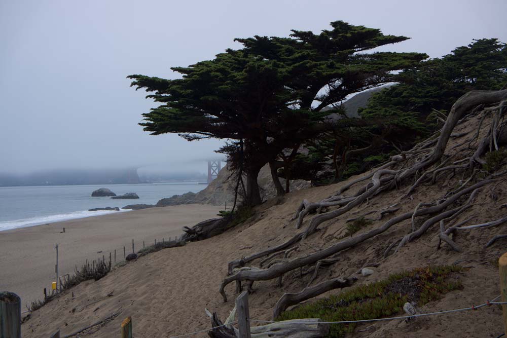 Baker Beach