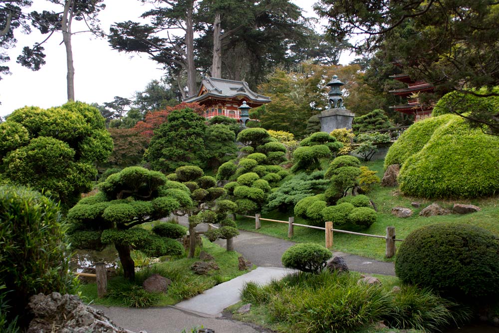 Japanese tea garden