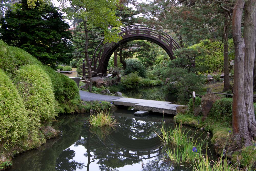 Japanese tea garden