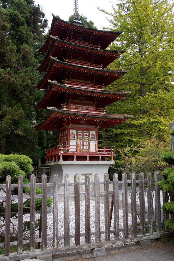 Japanese tea garden