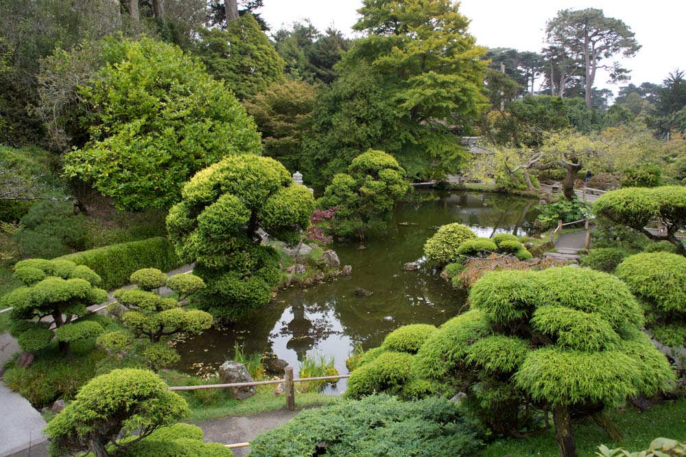 Japanese tea garden