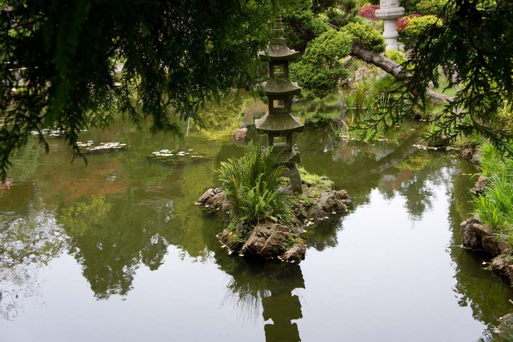 Japanese tea garden