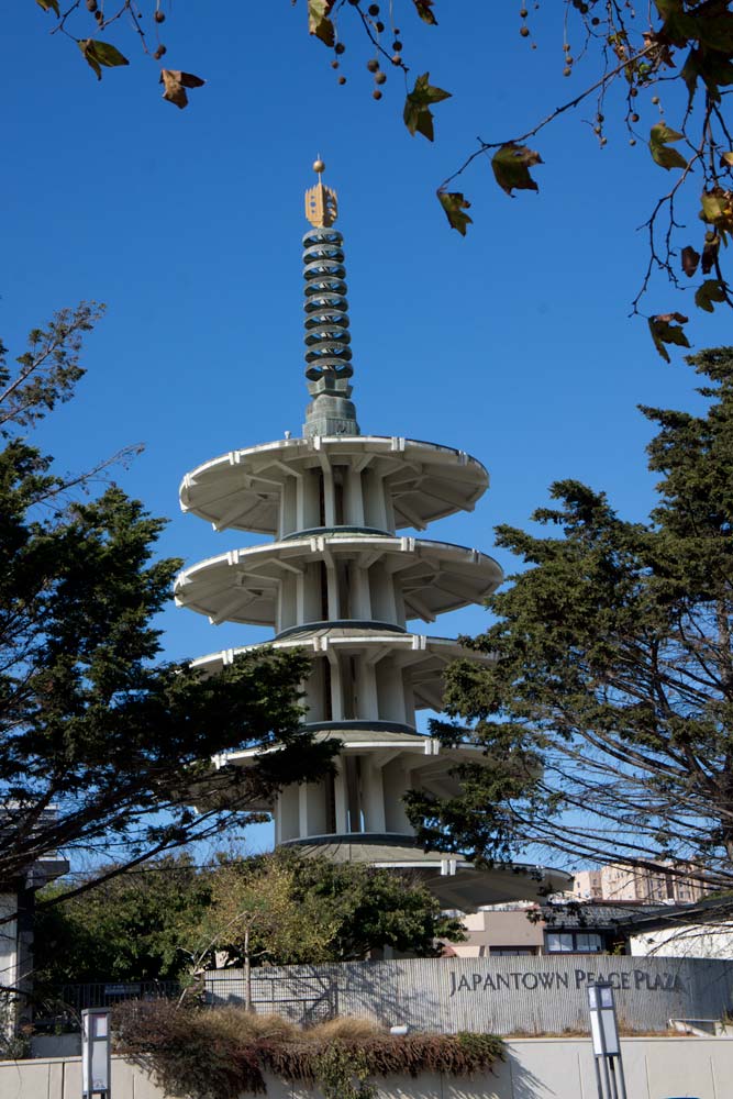 Japanese tea garden