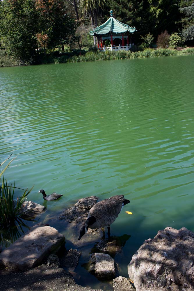 Stow lake