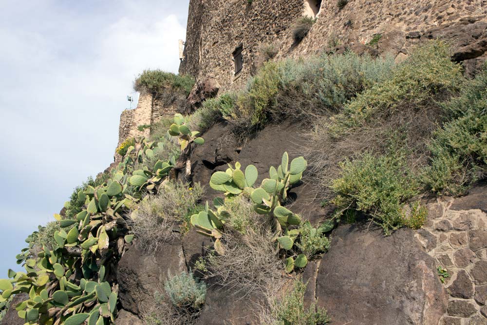 Voyage en Sardaigne, Castelsardo