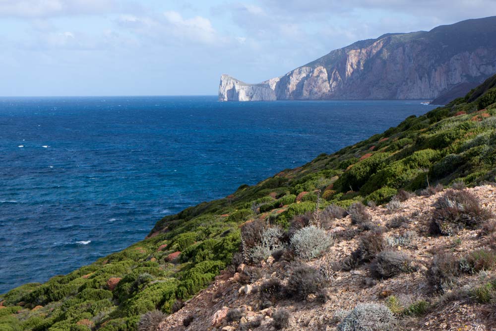 Voyage en Sardaigne, Fontanamare