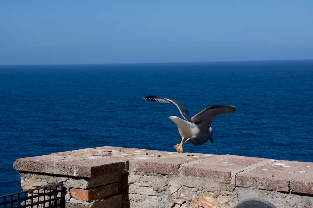 Voyage en Sardaigne, La grotte de Neptune