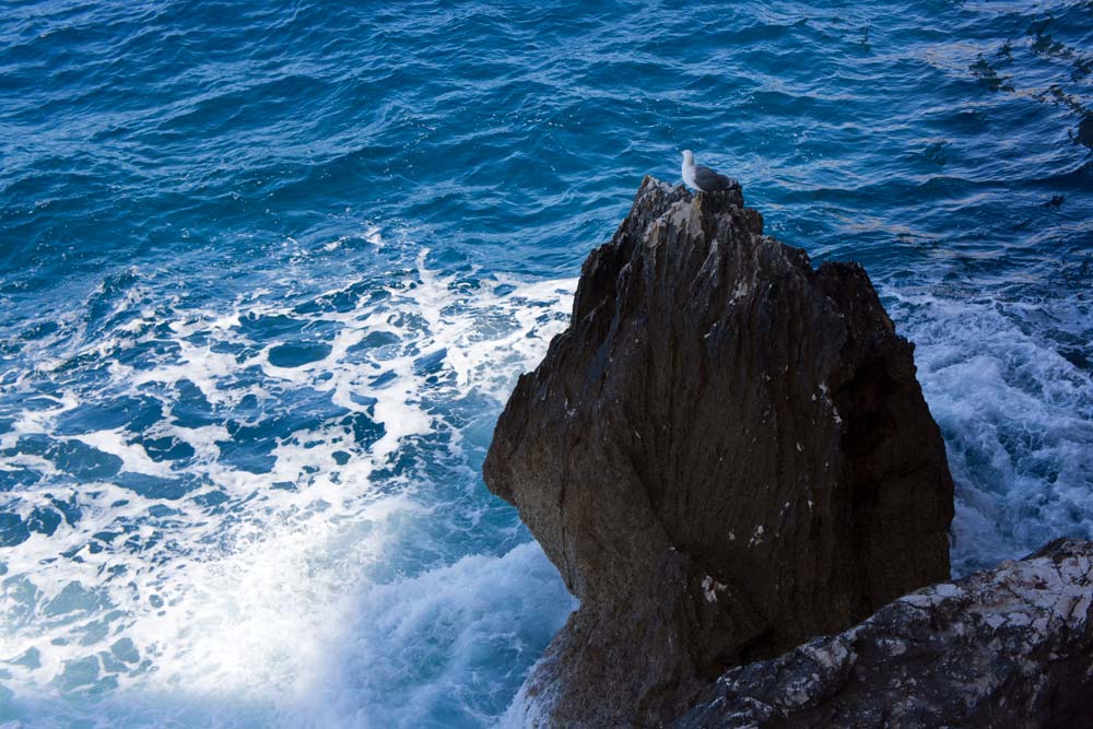 Voyage en Sardaigne, La grotte de Neptune