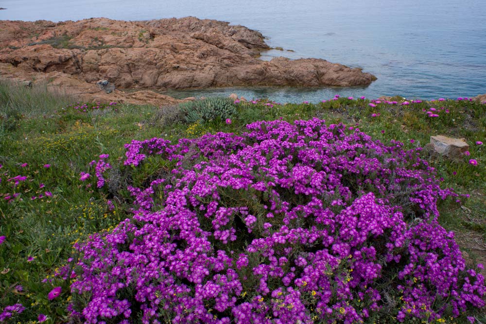 Voyage en Sardaigne, Isola Rossa