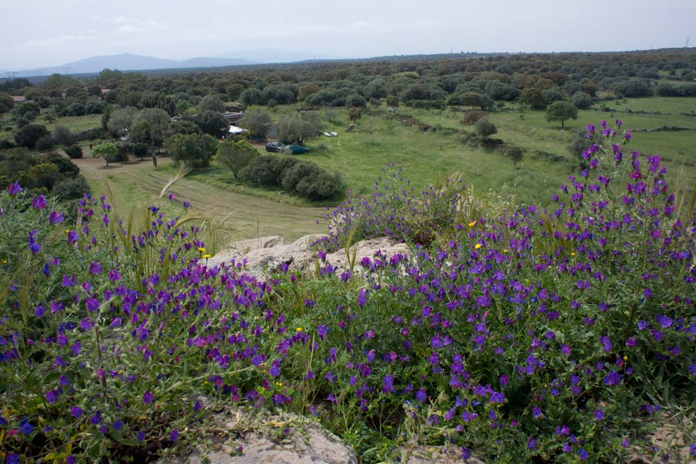 Voyage en Sardaigne, Losa