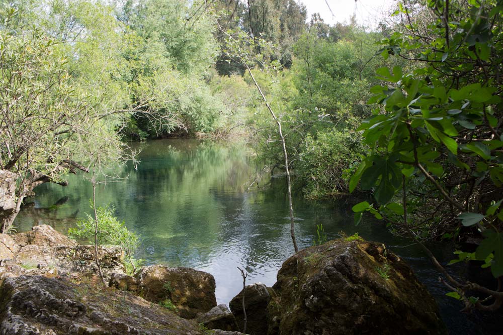 Voyage en Sardaigne, Oliena