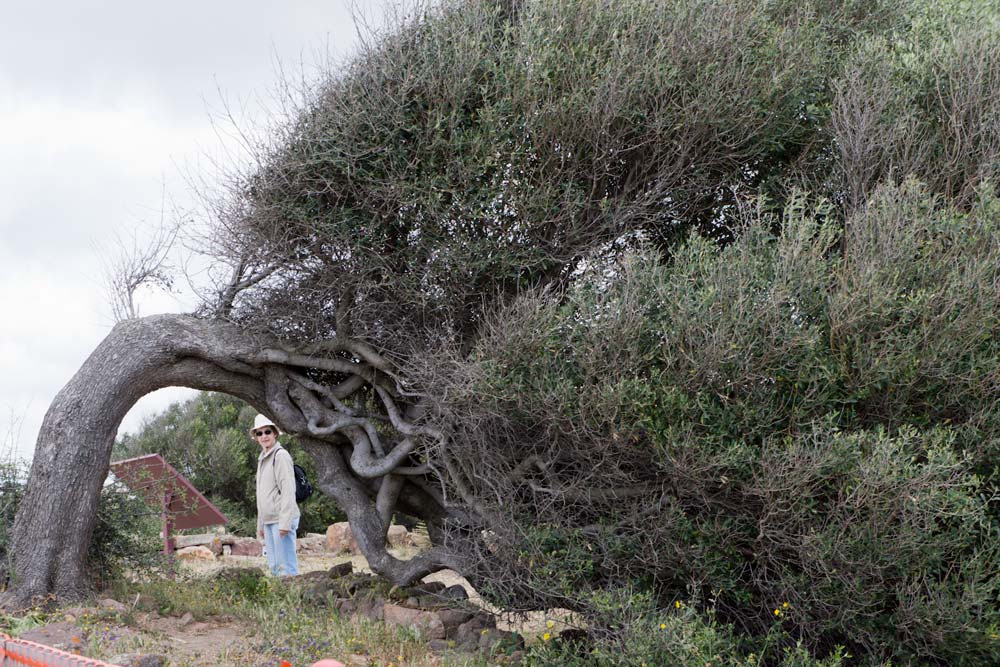 Voyage en Sardaigne, Sirai