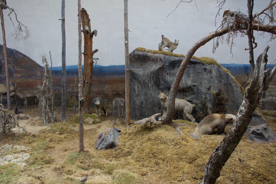 Stockholm, Biologiska museum