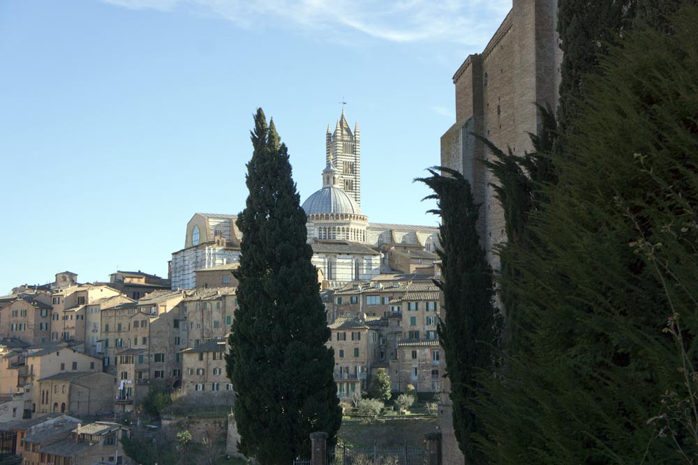 Sienne, la cathédrale