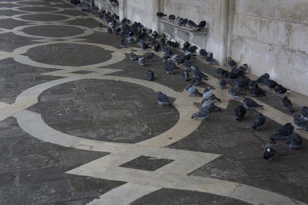 Venise, La place Saint Marc sous l'eau