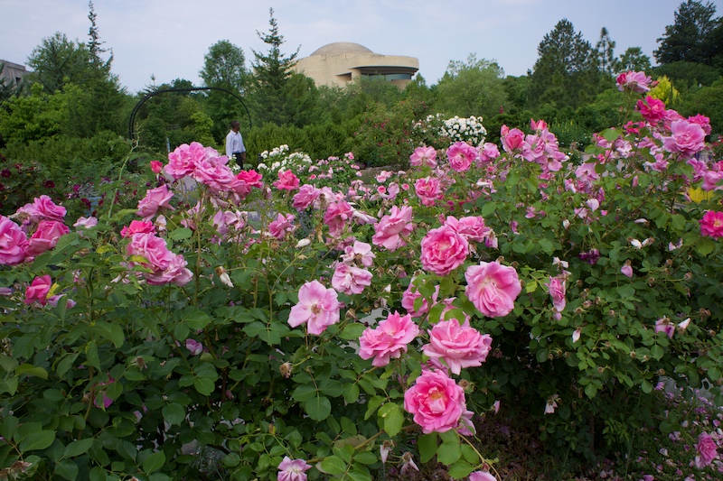 botanique